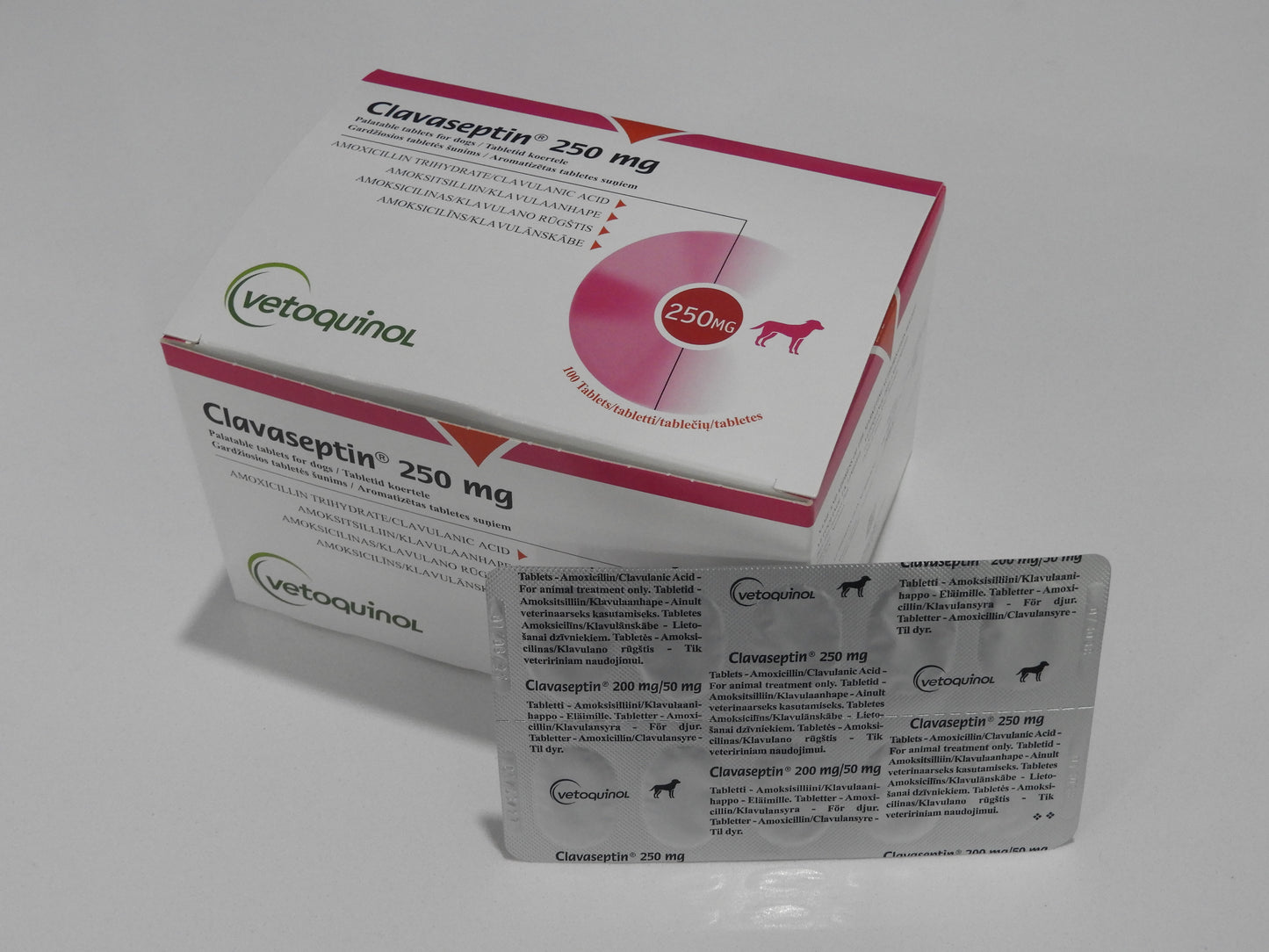 Clavaseptin 62.5mg Tablet