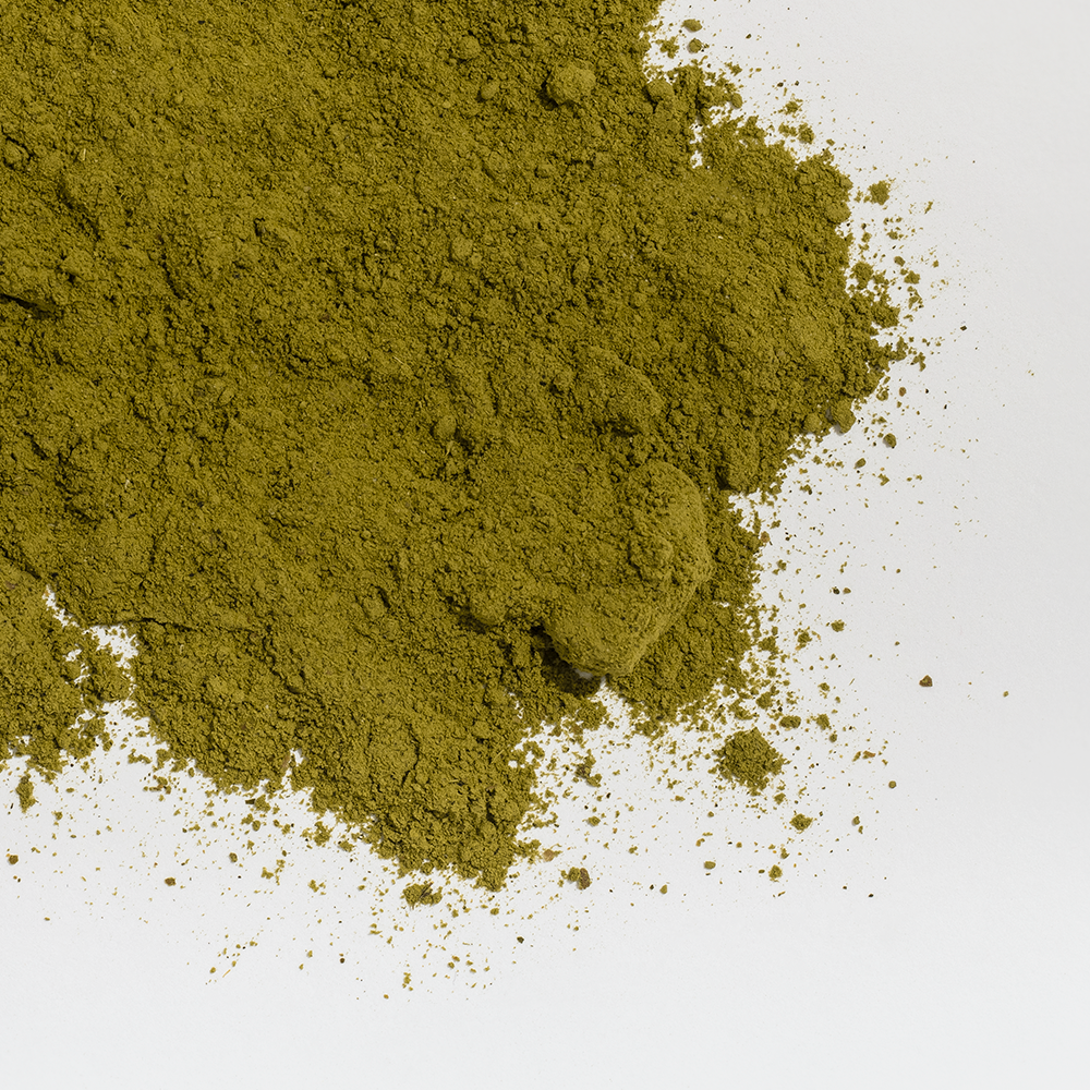 Coastal Canine Joint Boost Powder Supplement for Dogs and Cats