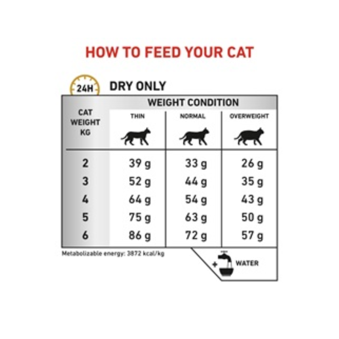 Royal Canin® Veterinary Diet Urinary S/O Dry Feline Food