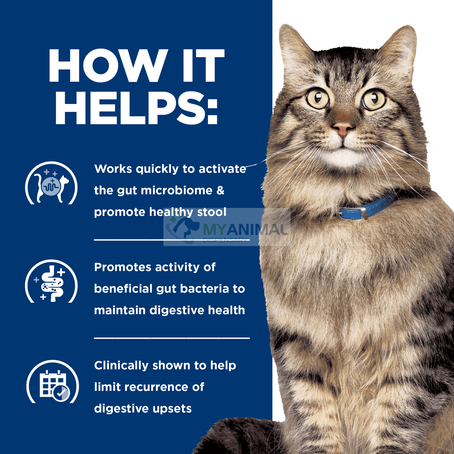 Hill's® Prescription Diet® Digestive Fiber Care Stress Gastrointestinal Biome Feline