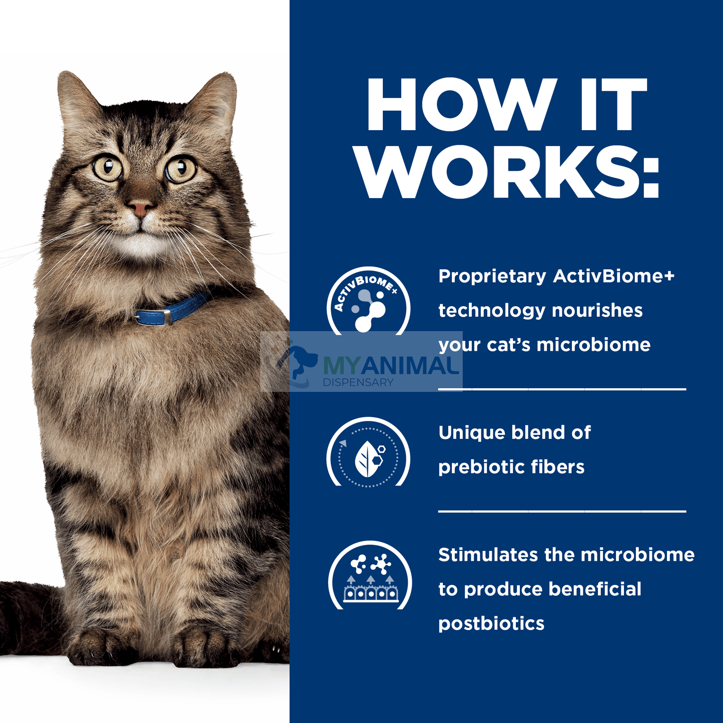 Hill's® Prescription Diet® Digestive Fiber Care Stress Gastrointestinal Biome Feline Chicken & Vegetable Stew Canned