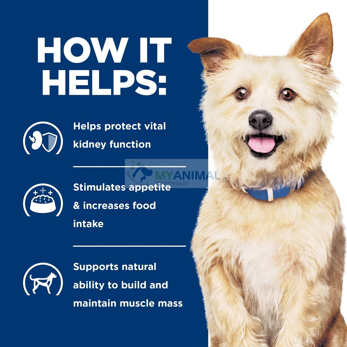 Hill's® Prescription Diet® k/d® Canine Kidney Care