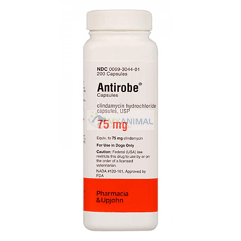 Antirobe Antibacterial Antibiotic Capsules for Dogs (75mg)