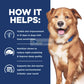 Hill's® Prescription Diet® Derm Complete Rice and Egg Formula Canine Canned