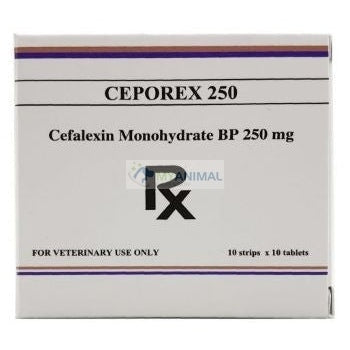 Ceporex (Cephalexin Monohydrate) 250mg Tablets