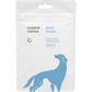 Coastal Canine Joint Boost Powder Supplement Trial Pack for Dogs and Cats