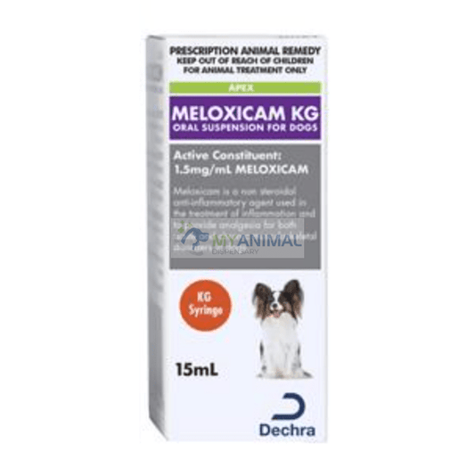 Dechra Meloxicam Anti Inflammatory Pain Relief Syrup for Dogs