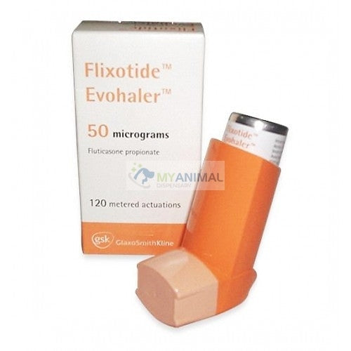 Flixotide 50mcg Fluticasone Evohaler