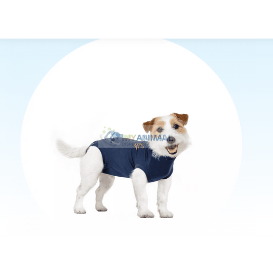 MPS Medical Pet Shirt for Dogs