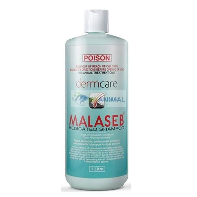 Malaseb Medicated Shampoo for Dogs Cats Pets