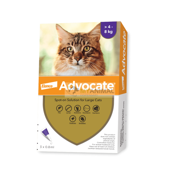 Advocate Fleas & Heartworm Treatment for Medium/Large Cats (>4kg)