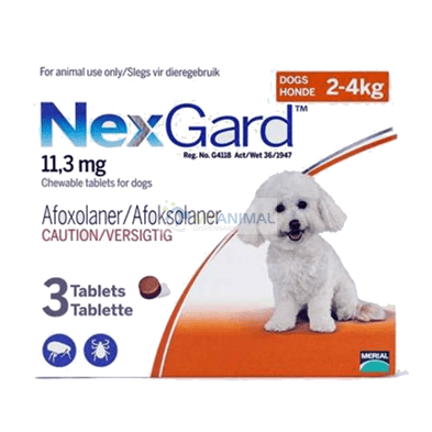 Nexgard Chewable Flavor Fleas Ticks Prevention for Small Dog (2-4Kg)