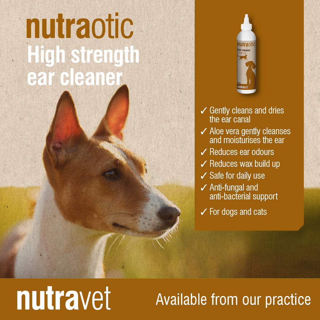 Nutravet Nutraotic Ear Cleaner for Dogs, Cats & Small Animals