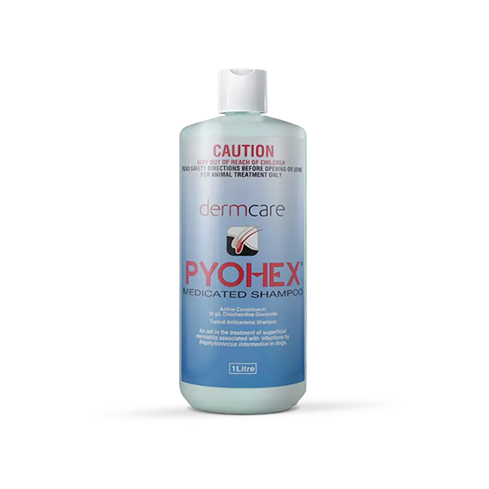 Pyohex® Medicated Shampoo for Dogs