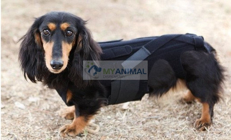 Lil Back Bracer™ Orthopedic Support Brace for Dogs