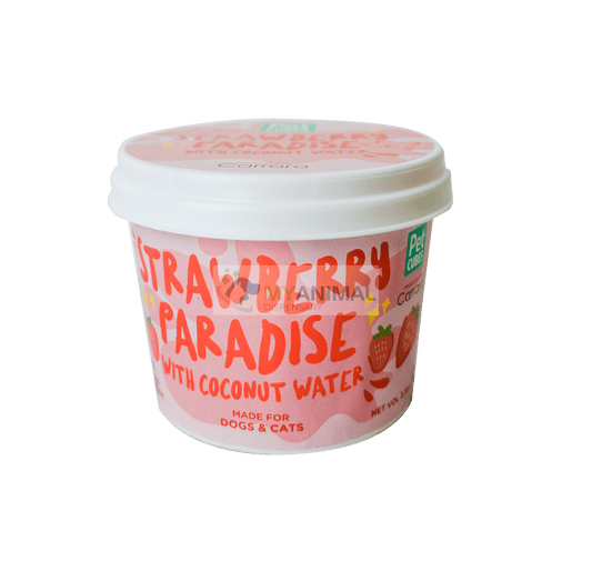 PETCUBES Strawberry Paradise with Coconut Water Gourmet Ice Cream (3.5oz)