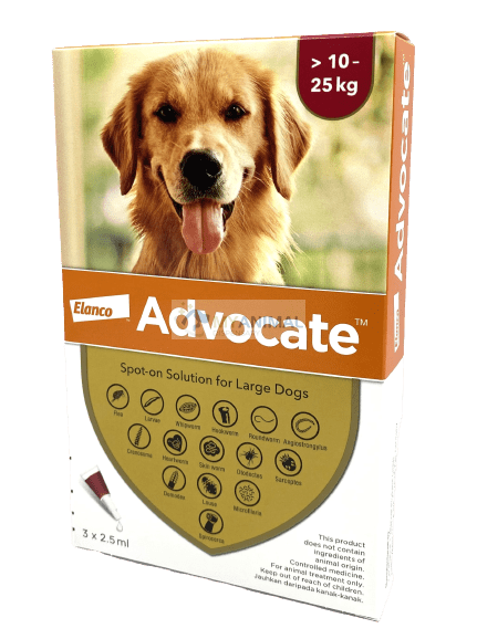 Advocate Fleas & Heartworm Prevention for Large Dog (10 to 25Kg)