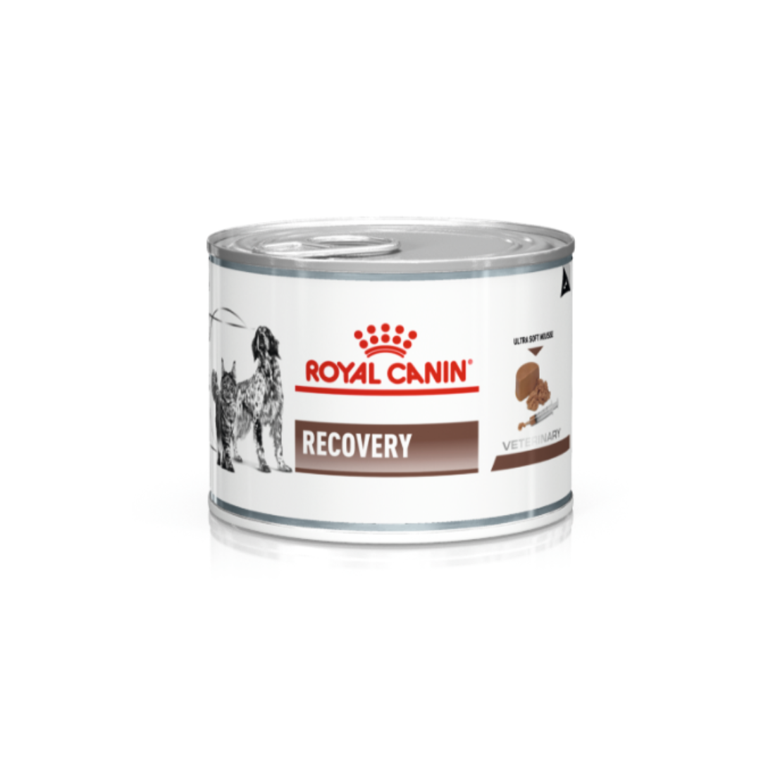 Royal Canin® Veterinary Diet Recovery Canned Canine and Feline Wet Food