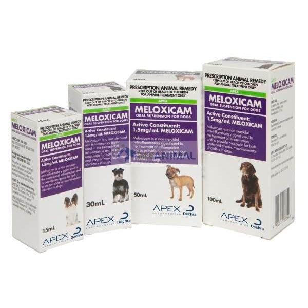 Dechra Meloxicam Anti Inflammatory Pain Relief Syrup for Dogs