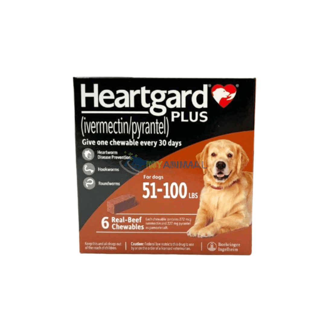 Heartgard Plus Chewables Heartworm Roundworm Hookworm Prevention for Dogs (51 to 100lb)