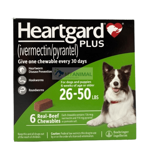 Heartgard Plus Chewables Heartworm Roundworm Hookworm Prevention for Dogs (26 to 50lb)