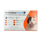 Revolution Plus Medium Orange Fleas Ticks Worms Prevention for Cats (2.6Kg to 5kg)