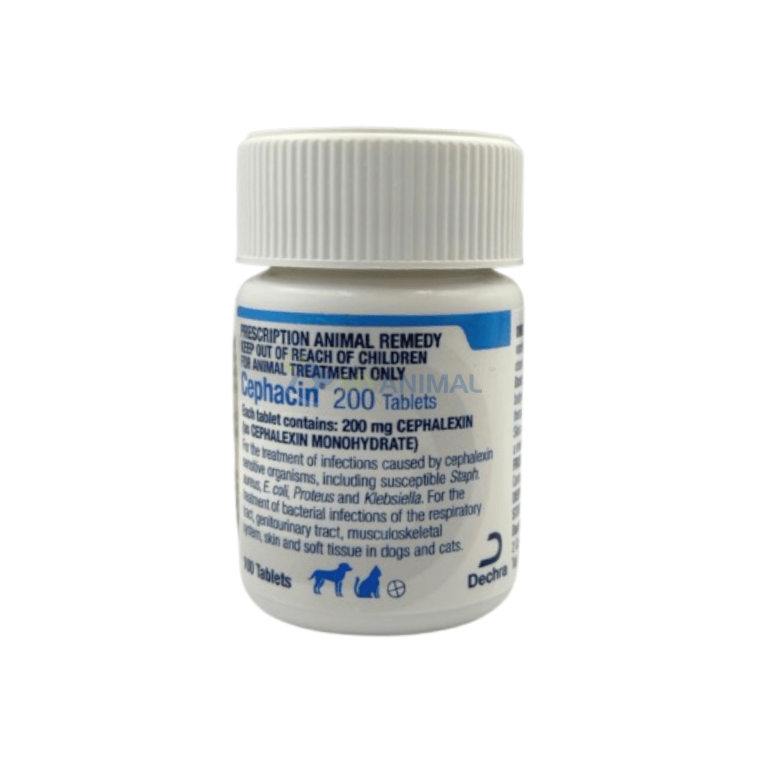Dechra Cephacin® Cephalexin Antibiotics Tablets for Dogs Cats (200mg) (Non Flavored)