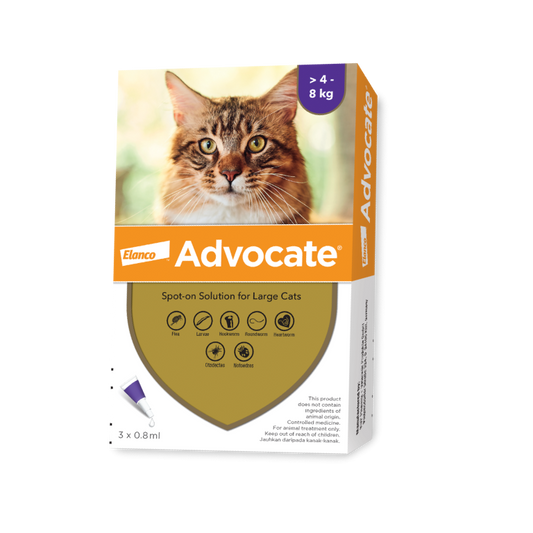 Advocate Fleas & Heartworm Treatment for Medium/Large Cats (>4kg)