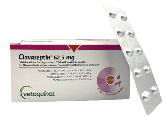 Clavaseptin 62.5mg Tablet