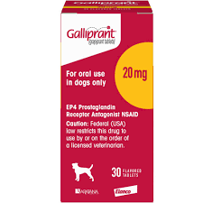 Elanco Galliprant Anti Inflammation Osteoarthritis Pain Relief Tablets for Dogs (20mg)